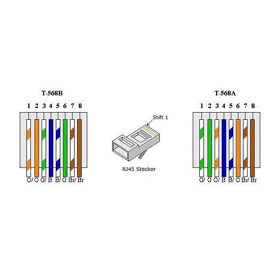 Bild 3 - Kab24 Westernstecker Modularstecker RJ45 8/8 (8P8C) fr Flachkabel