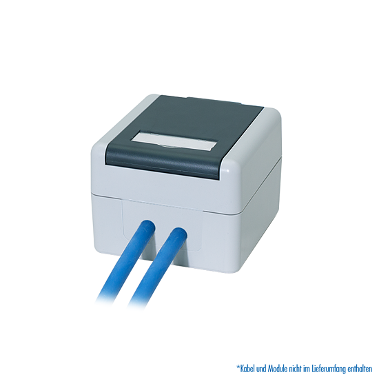 Bild 5 - Outdoor Aufputzdose f�r 2 RJ45 Cat.6A Keystone Module, IP44