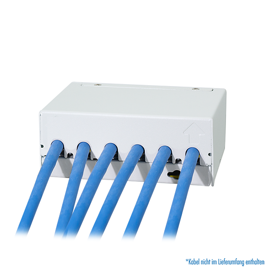 Bild 4 - Patch Panel 6 Port mit 6 Cat.6A Keystone Modulen