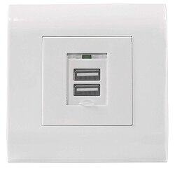 Unterputzose mit 2 x USB A Ladebuchsen max 2,1A inkl. Staubschutzkappe