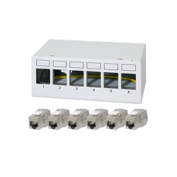 Patch Panel 6 Port mit 6 Cat.6A Keystone Modulen