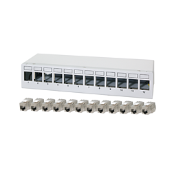 Patch Panel 12 Port mit 12 Cat.6A Keystone Modulen